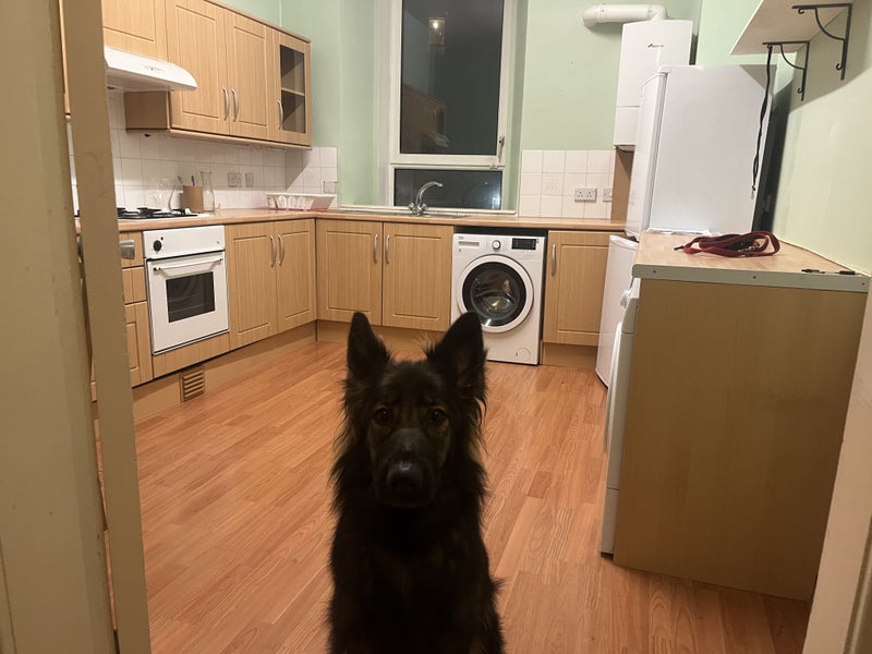 'West End Flat £680 pcm per room ' Room to Rent from SpareRoom