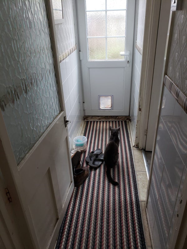 'St Anne's Garden house by the river' Room to Rent from SpareRoom