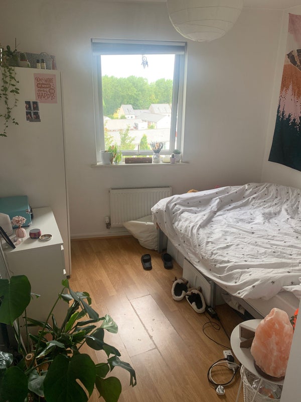 'Double Bedroom Beswick, Manchester £150pw' Room to Rent from SpareRoom