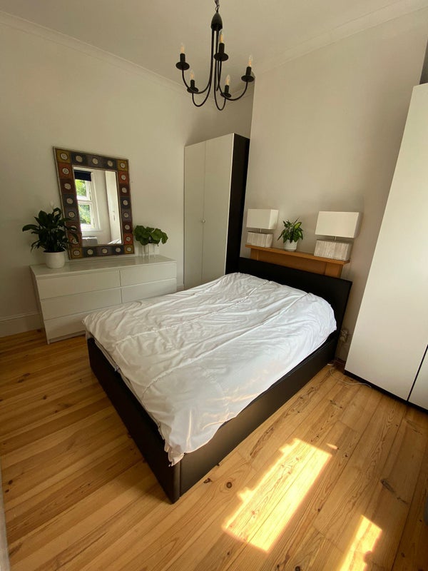 'Double bedroom for a single professional/couple' Room to Rent from SpareRoom