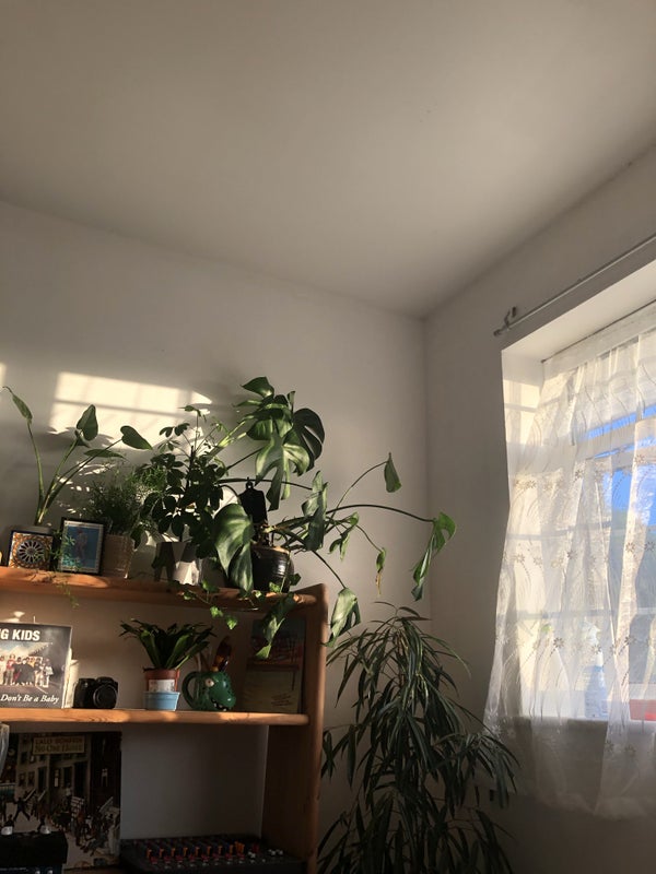 'SUBLET Double Bedroom Available in Crofton Park' Room to Rent from