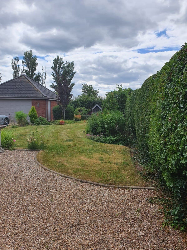 Photo 1: Garden