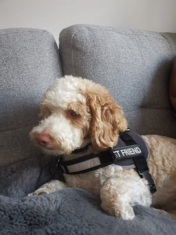 'Loft double room in Hilsea Portsmouth' Room to Rent from SpareRoom