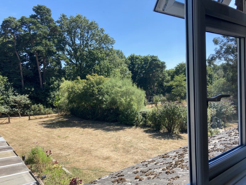 Photo 1: Views from Room 1