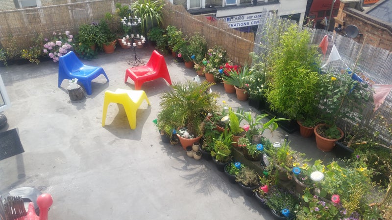 Photo 2: Roof garden!
