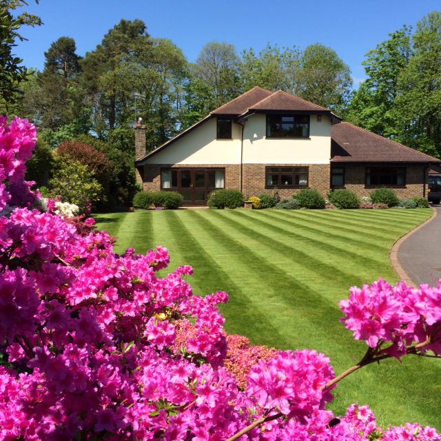 Photo 1: Front garden and main house