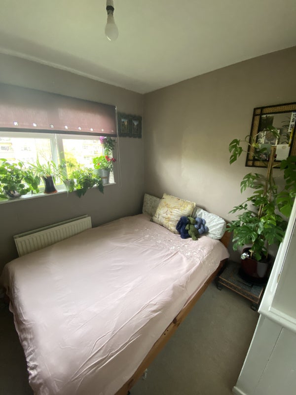 'Double room for rent Cambridge ' Room to Rent from SpareRoom