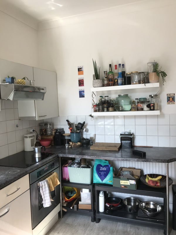 '1 Bed Ground Floor Flat With Large Private Garden' Room to Rent from