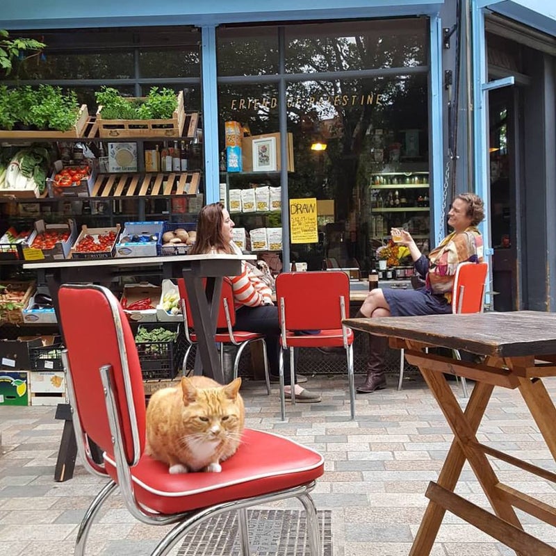 'Stunning Double Ensuite in Vauxhall' Room to Rent from SpareRoom