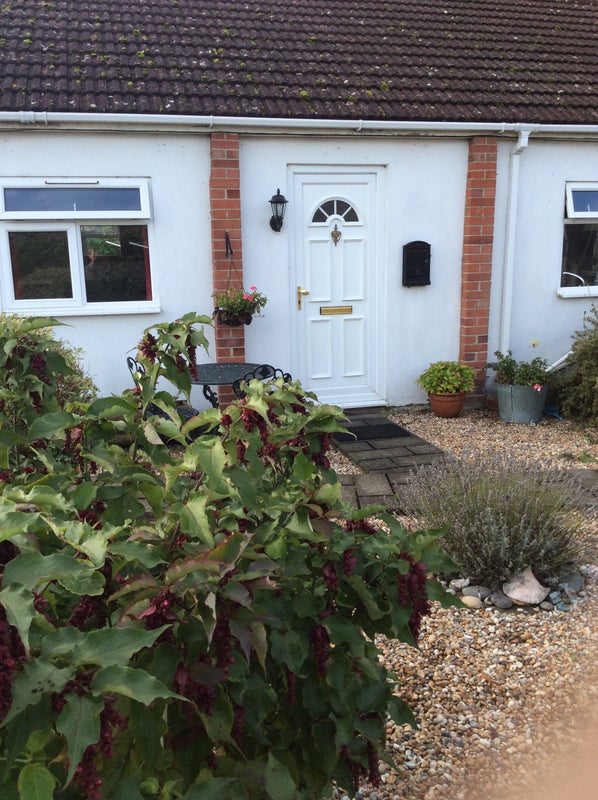 Photo 1: Own front door