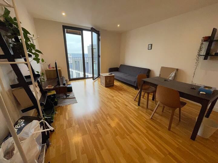 'Central Flat Furnished with View Near Piccadilly ' Room to Rent from ...