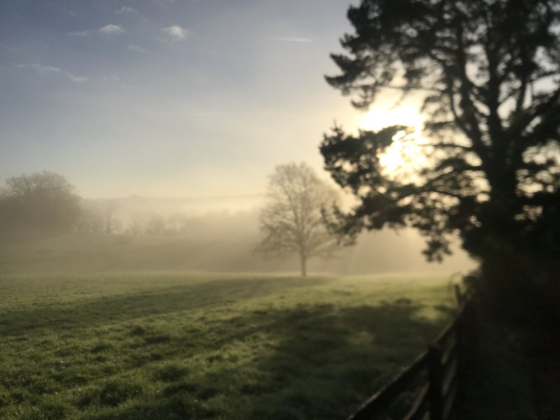 'Sunny Room Beautiful Dartington Estate ' Room to Rent from SpareRoom