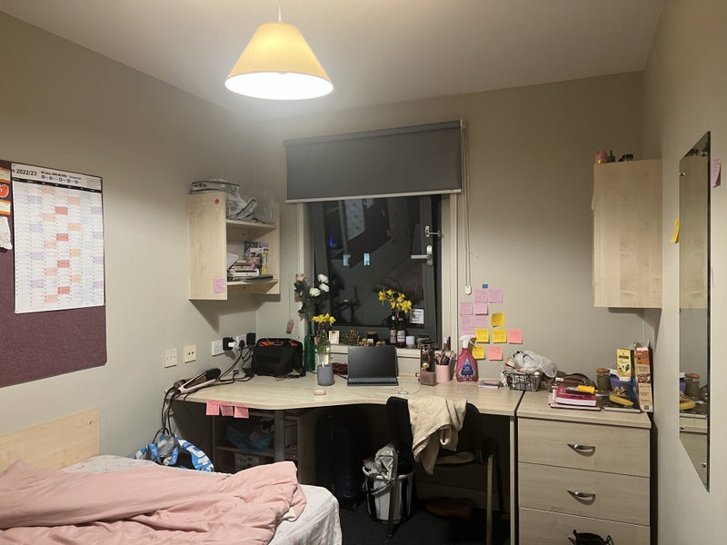 'Need an immediate replacement ' Room to Rent from SpareRoom