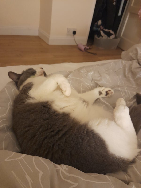 'Didcot escape ' Flatmate from SpareRoom