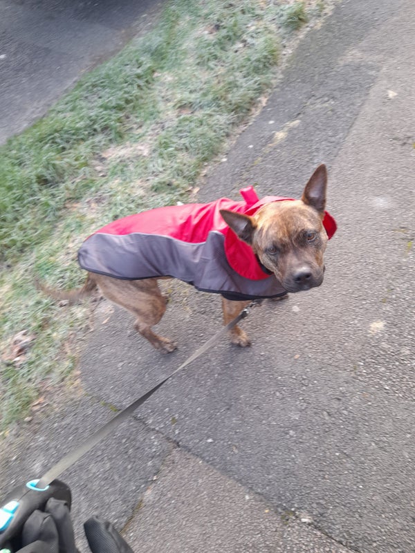 'Didcot escape ' Flatmate from SpareRoom