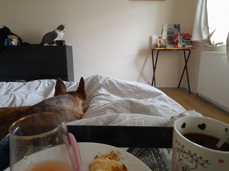 'Didcot escape ' Flatmate from SpareRoom