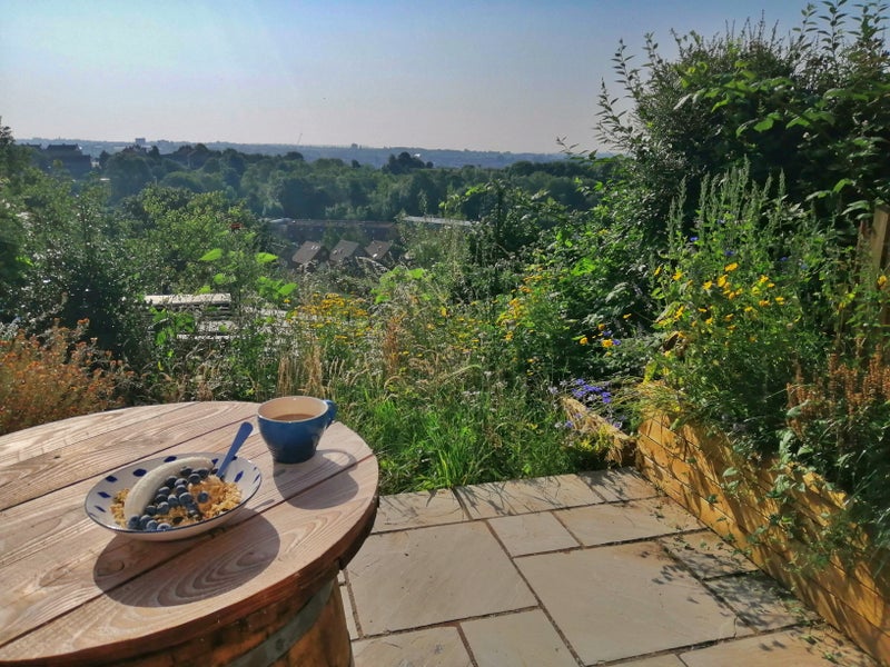 Photo 1: Back garden for morning sun (there's also a front for evening sun)