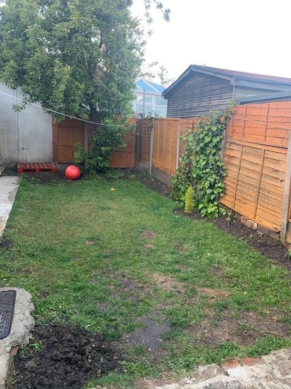 Photo 9: Garden