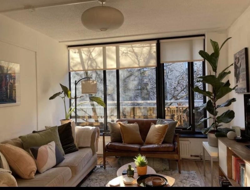 Photo 1: Living Room