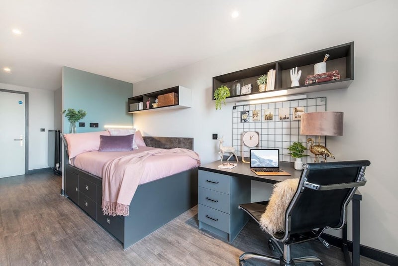 'Flat for Rent in Cardiff ' Room to Rent from SpareRoom