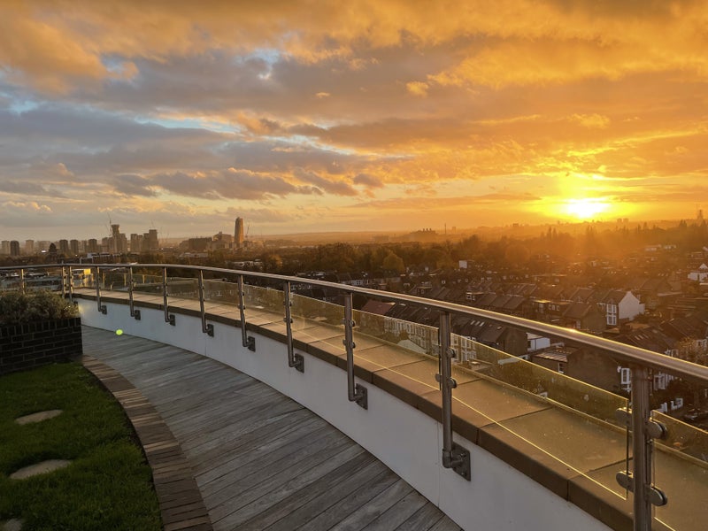 Photo 1: Roof Garden