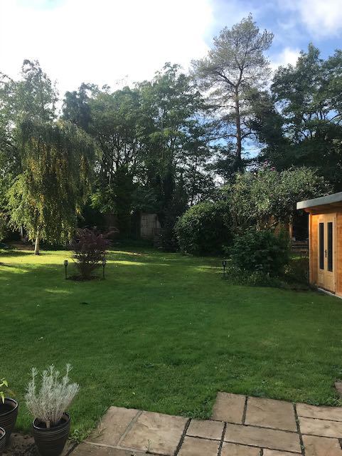 Photo 1: Garden or Patio