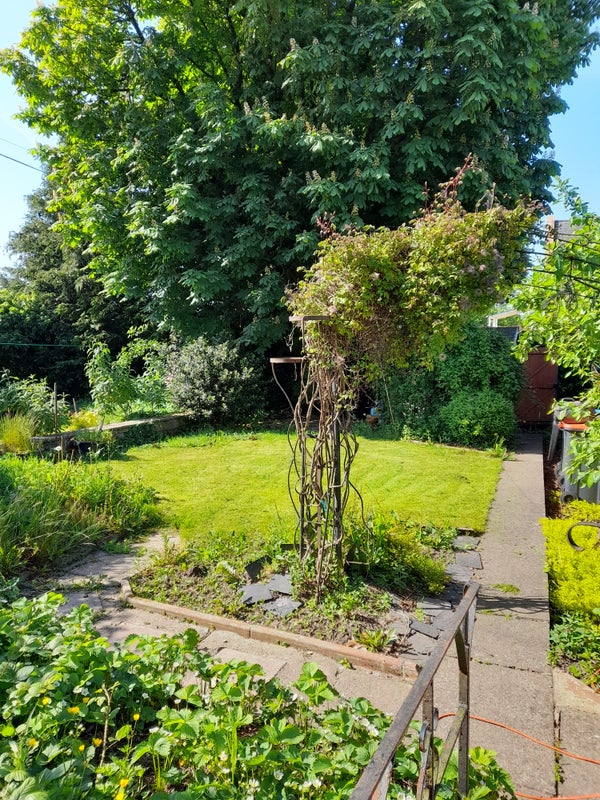 Photo 1: Garden