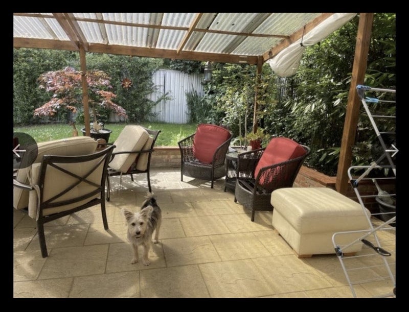 Photo 1: Back garden