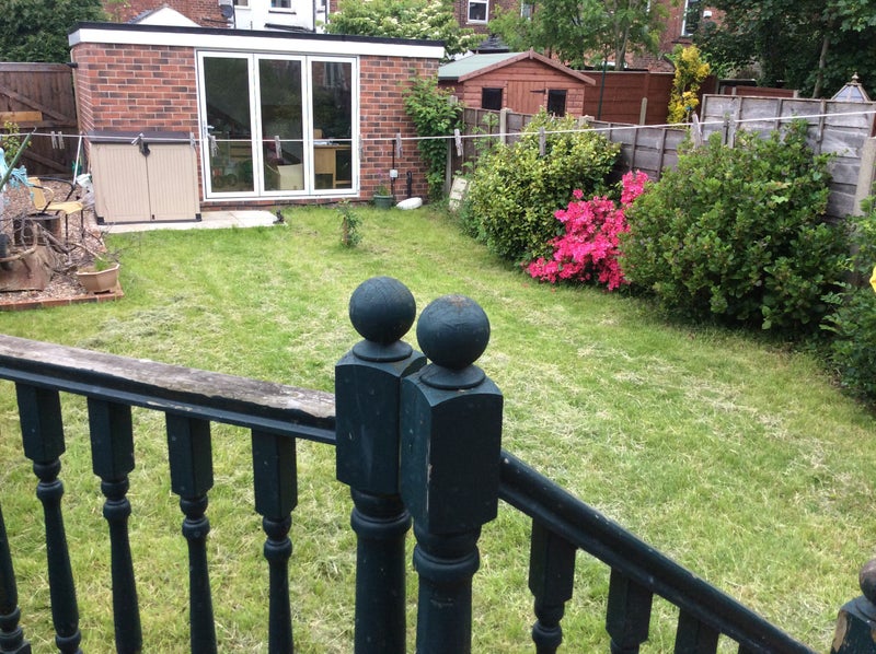 Photo 1: back garden