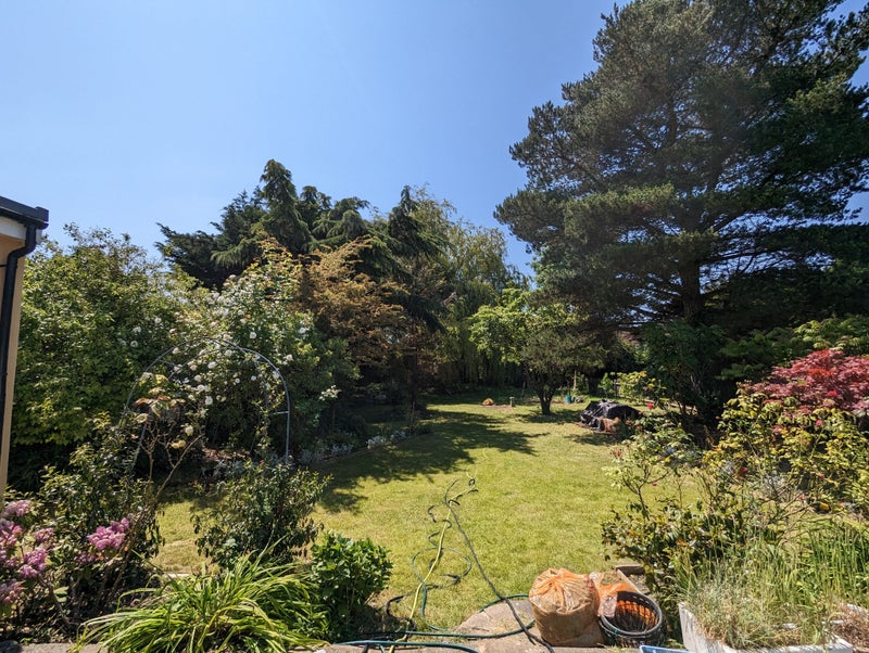 'Studio Flat to Rent in Romford' Room to Rent from SpareRoom