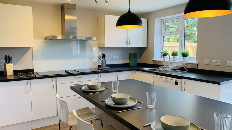 Photo 1: Kitchen: Showing - Island worktop, Two electric hobs with extractor unit, sink, dishwasher.