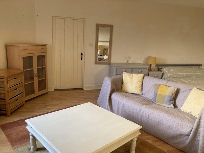 Photo 1: Sofa and TV in studio bedroom