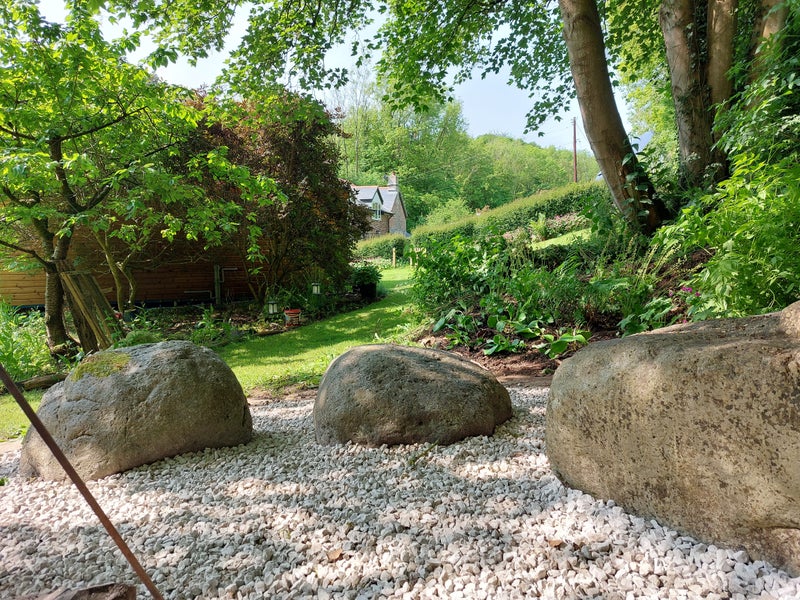 Photo 1: View in the garden