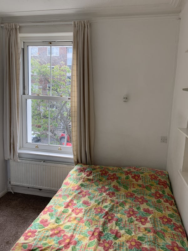 Photo 1: Bed and window