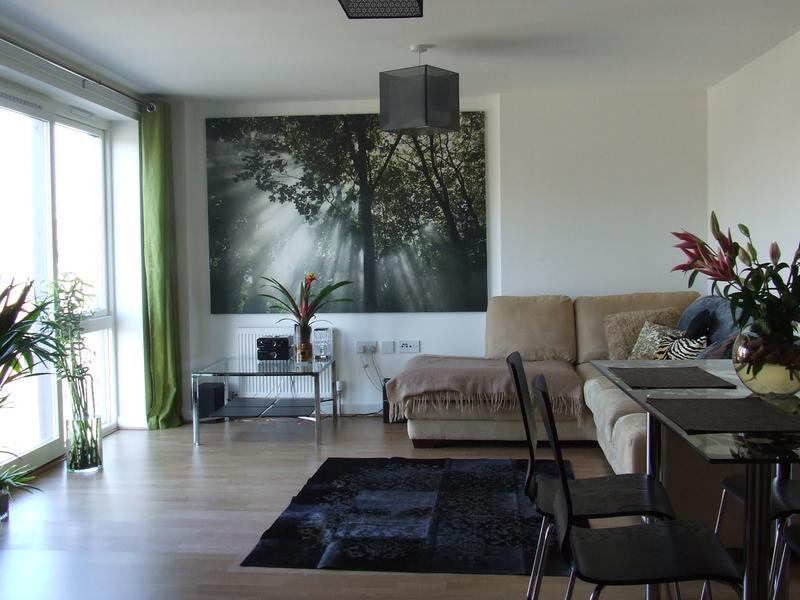 Photo 1: Huge lounge