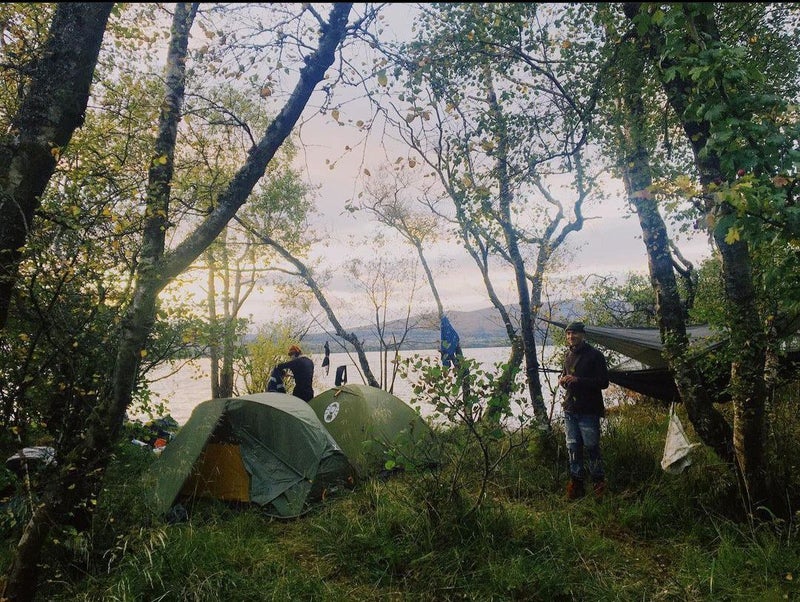 'Single room, East end Glasgow' Room to Rent from SpareRoom