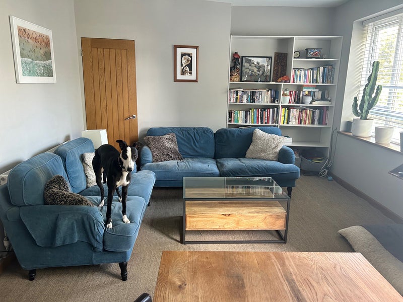 Photo 1: Livingroom and dog :)