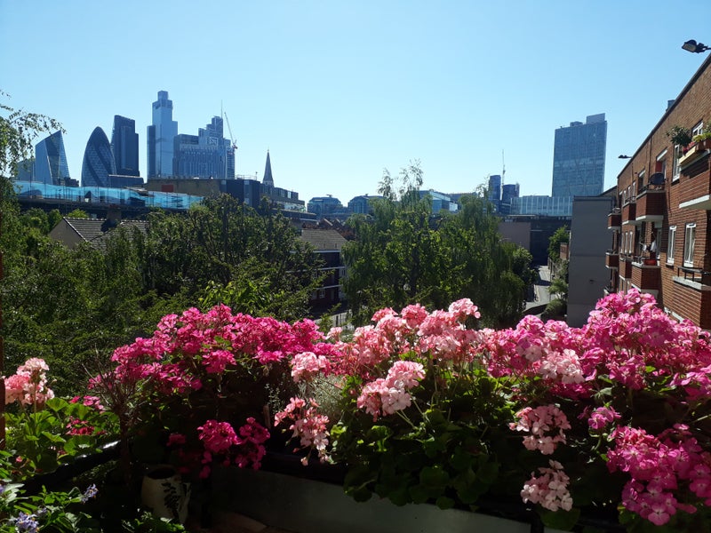 Photo 1: View from private west facing balcony