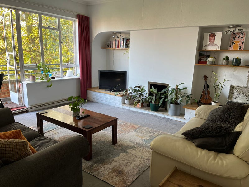Photo 1: LIVING ROOM