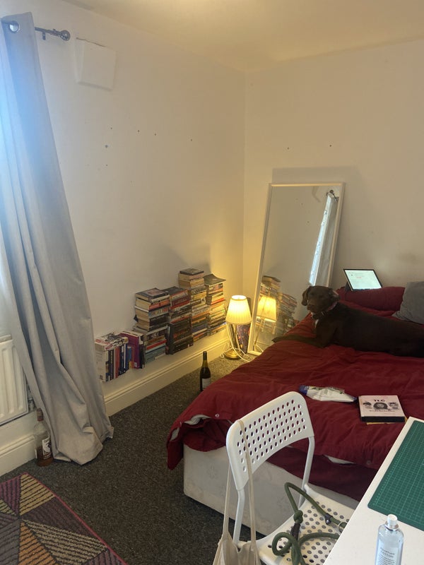 'Cosy flat in Streatham Hill' Room to Rent from SpareRoom