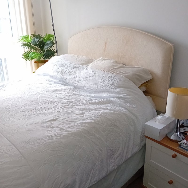 Photo 1: Ensuite double room