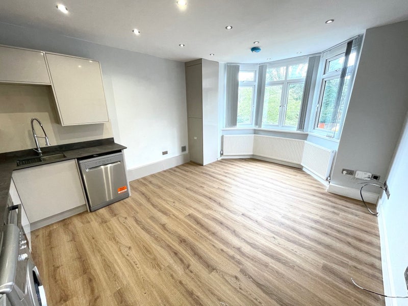 Photo 1: Large lounge/ kitchen 