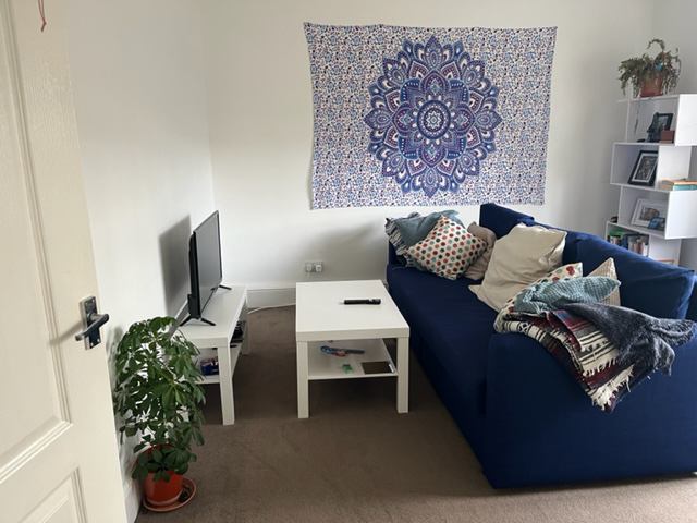 Photo 1: Shared Living Room with Netflix