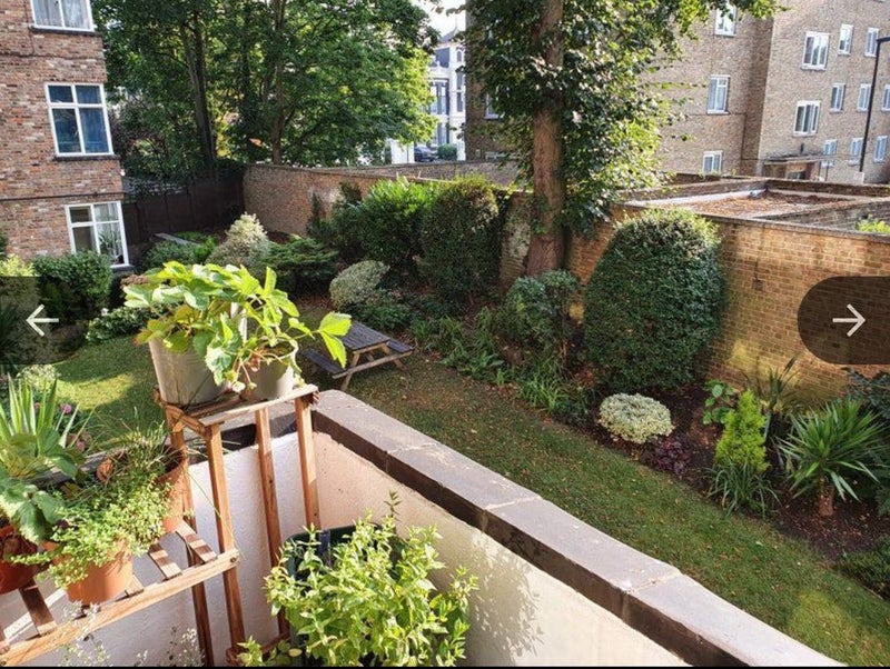 'Cosy double room in beautiful Blackheath' Room to Rent from SpareRoom