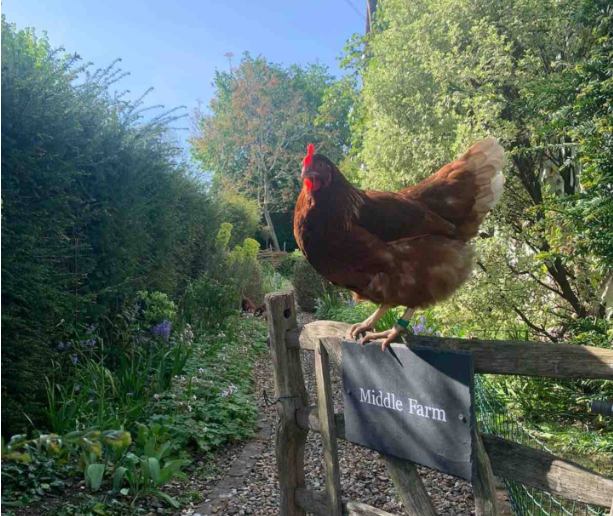 Photo 1: Middle Farm