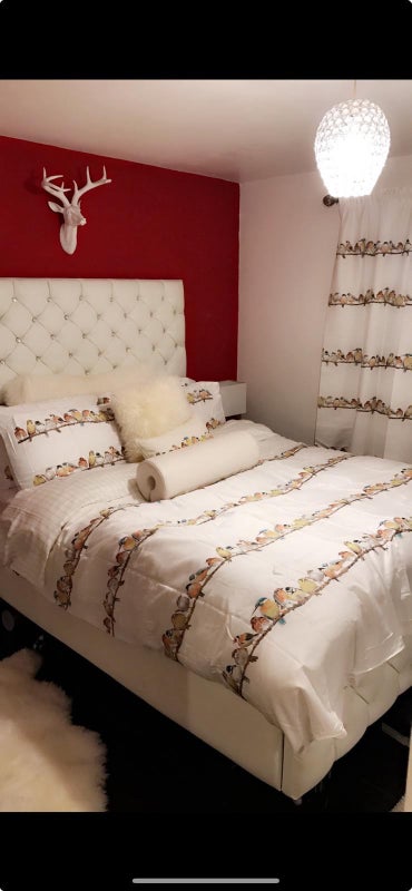 Photo 1: Pleaae not refurbishment is taking place walls are no longer red but white