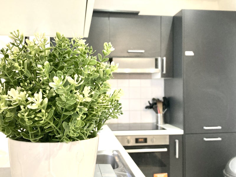 Photo 1: Communal areas cleaned weekly by the cleaning team