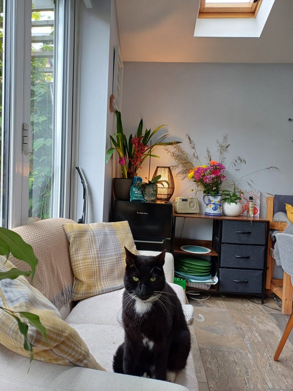 Photo 1: Cosy kitchen