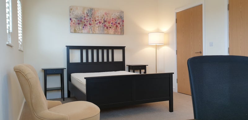 Photo 4: Beautifully furnished large room