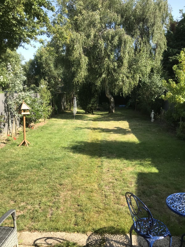 Photo 1: Garden